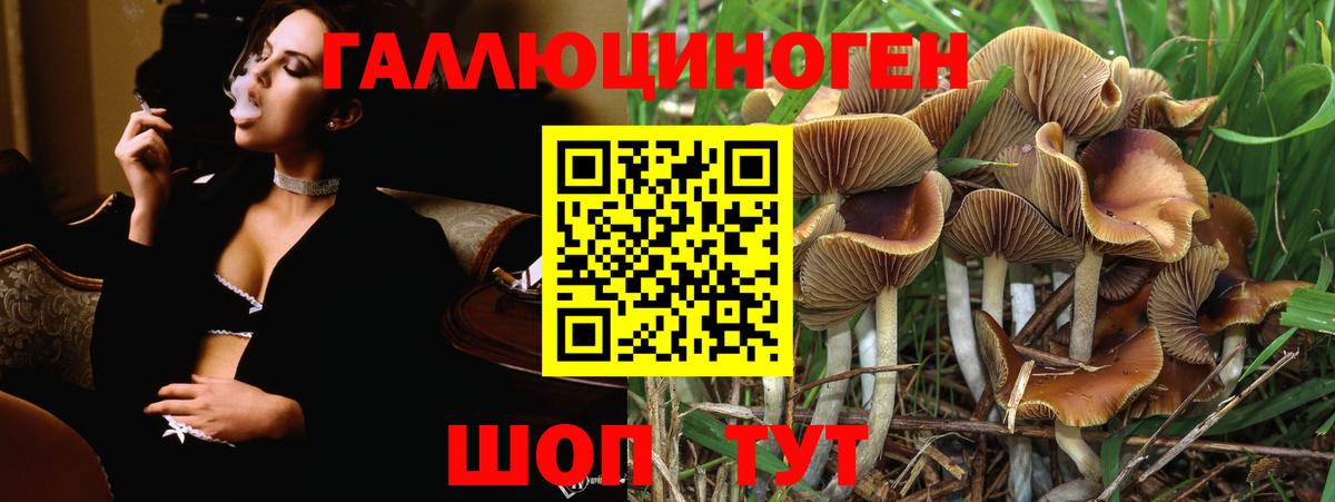 Галлюциногенные грибы Psilocybe  Вход с VPN  Псилоцибиновые грибы прущие грибы  Семёнов 
